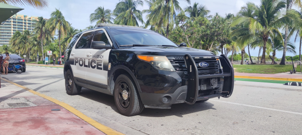 Polizeiauto auf dem Seitenstreifen mit Menschen, Fahrrädern, Gras, Bäumen, Gebäuden und einem klaren blauen Himmel im Hintergrund.