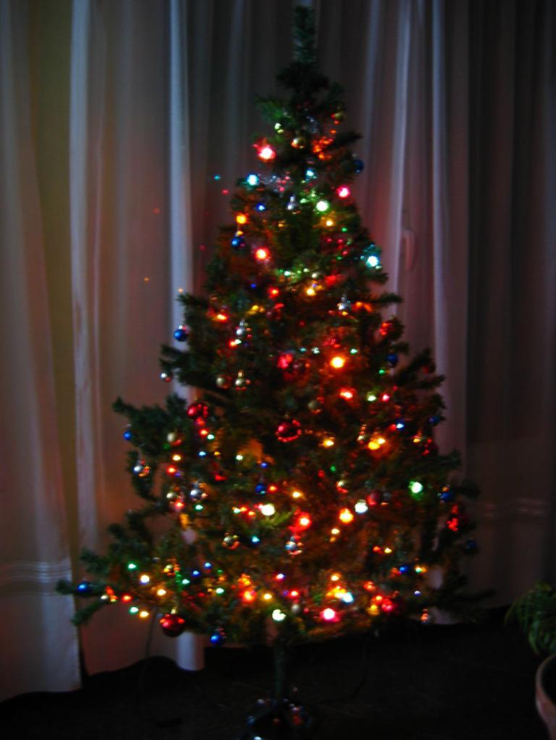 Ein Weihnachtsbaum mit Lichterschmuck, mit einem Vorhang und einem Topfpalme im Hintergrund.