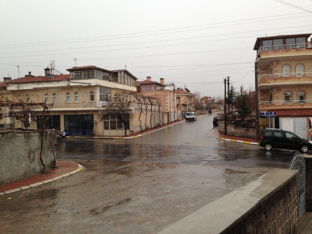 Eine Stadtansicht mit Kraftfahrzeugen auf Straßen, Gebäuden, Bäumen, Strommasten, elektrischen Kabeln, Geländern und Himmel.
