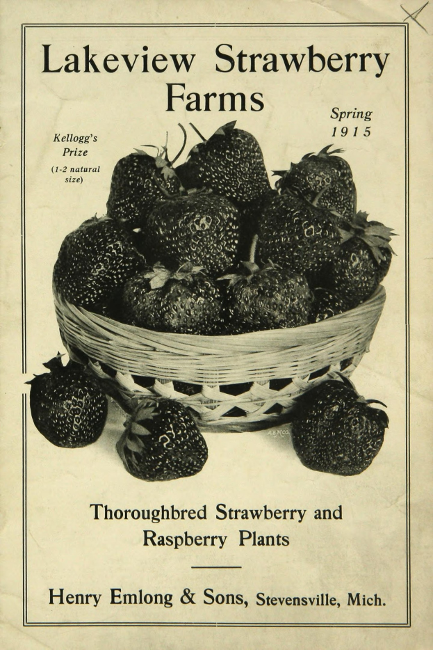Plakat aus dem Frühjahr 1915 für Lakeview Erdbeerfarmen, das einen Korb reifer roter Erdbeeren mit der Aufschrift "Zuchtstamm Erdbeeren und Himbeeren" oben zeigt.
