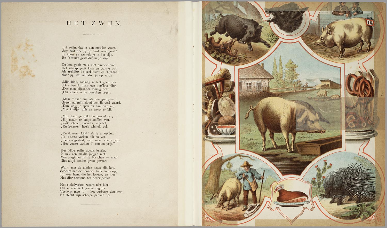 Ein offenes Buch mit Illustrationen von Schweinen, Hühnern und anderen Bauernhoftieren auf der linken Seite.