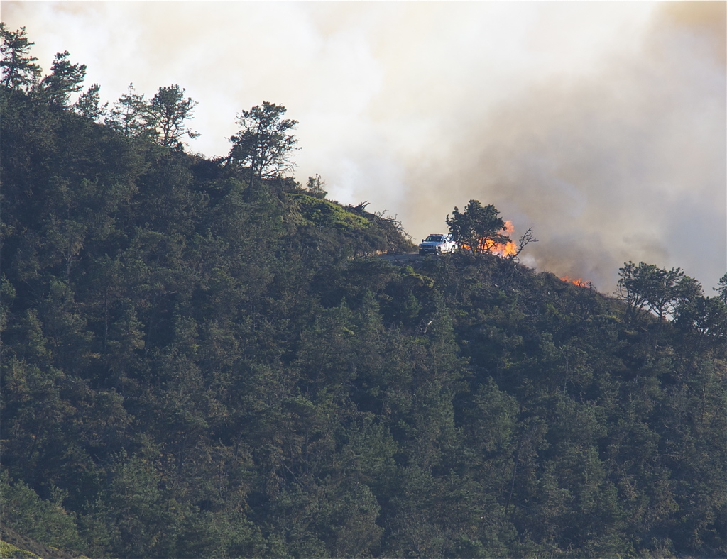 Ein Hang mit zahlreichen Bäumen, ein Fahrzeug und ein Feuer mit Rauch.