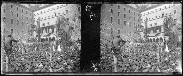 Ein Schwarz-Weiß-Foto einer großen Menschenmenge vor einem Gebäude mit Bäumen und Fahnen im Hintergrund, einige halten Schilder und Transparente, was auf eine Demonstration in einer Stadt hindeutet.