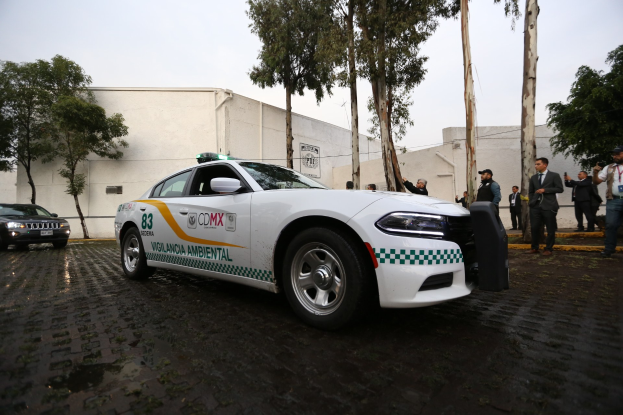 Weißer Polizeiwagen vor einem Gebäude mit einer Gruppe von Menschen in bunten Kleidern und Mützen, Bäumen und einem klaren blauen Himmel im Hintergrund.