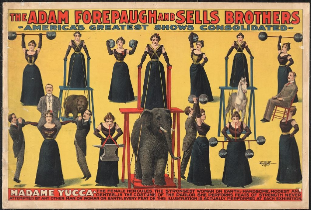 Plakat für die vereinigte Zirkusshow von Adam Forepaugh und Sells Brothers mit Performern auf Hockern, einem Elefanten und Werbetext.