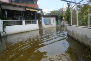 Informationen zur privaten Hochwasser- und Überschwemmungsschutz