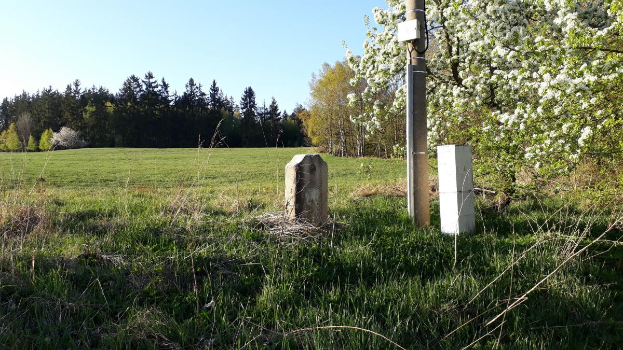 Ein grasbewachsener Platz mit einem zentralen Baum, umgeben von Bäumen und einem klaren blauen Himmel, mit einer Stange und zwei Betonblöcken im Vordergrund, wahrscheinlich Teil eines Denkmals.