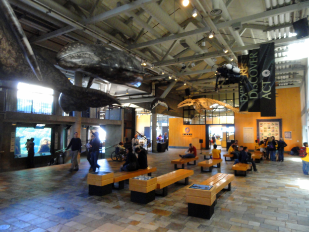 Ein großer Raum voller Menschen auf Bänken sitzend und stehend, mit hängenden Bannern, Deckenbeleuchtung, einem Bildschirm links und verschiedenen Gegenständen im Hintergrund, was auf eine Museumsatmosphäre hindeutet.