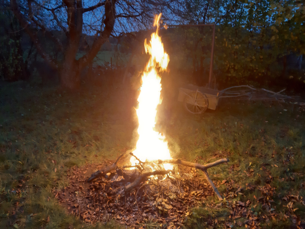 Feuer in einer grasigen Wiese bei Nacht, umgeben von trockenen Blättern und Stöcken, mit Bäumen und einem Karren im Hintergrund unter einem sichtbaren Himmel.