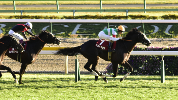 Irlands Darragh Kenny behält Schwung von Spruce Meadows bei und feiert großen Sieg in Aachen...