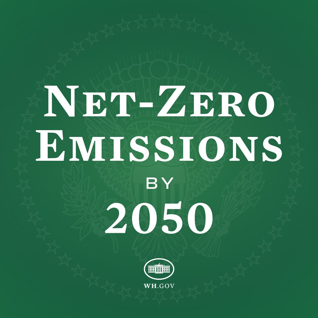 Weißer fetter Text auf grünem Hintergrund mit der Aufschrift "netto-null-Emissionen bis 2050."